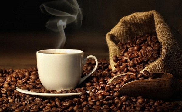 Giá cà phê hôm nay 5/1: Vượt mốc 40.000 đồng/kg