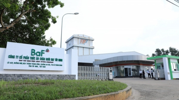 Nông nghiệp BAF: Công ty của Chủ tịch Trương Sỹ Bá mua hơn 4,5 triệu cổ phiếu