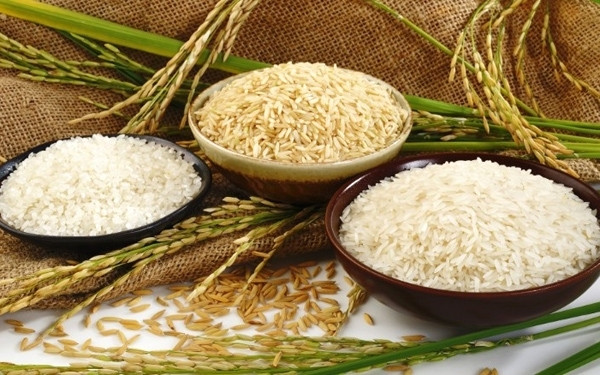 Giá lúa gạo hôm nay 17/3: Ổn định ở mức cao