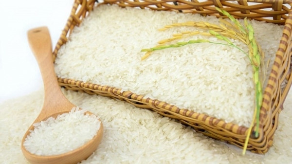 Giá lúa gạo hôm nay 18/3: Giao dịch nhộn nhịp