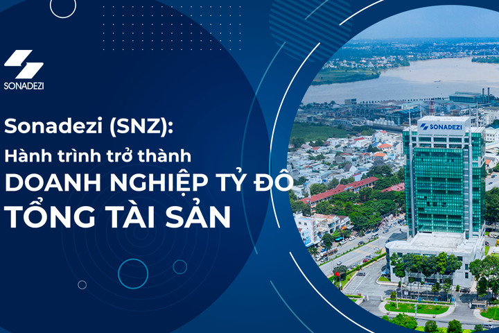 Sonadezi (SNZ): Hành trình trở thành doanh nghiệp tỷ đô về tổng tài sản