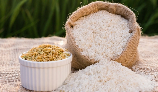 Giá lúa gạo hôm nay 17/5: Neo ở mức cao, nhu cầu nhập khẩu lớn