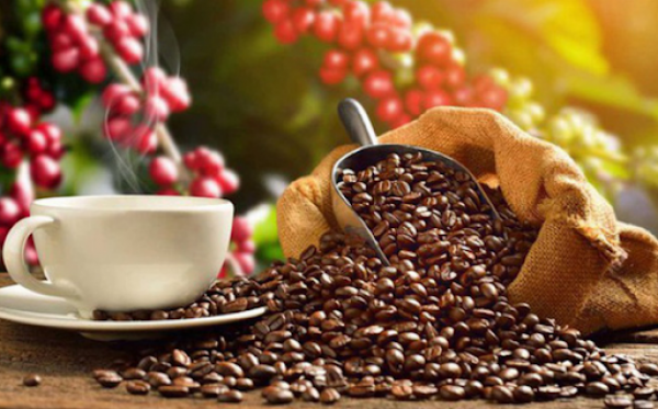 Giá cà phê hôm nay 24/5: Tăng vượt mốc 61.000 đồng/kg