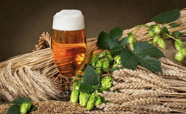 Doanh nghiệp bán nguyên liệu bia cho Sabeco ngập nợ trái phiếu: Ngành bia có lo lắng?