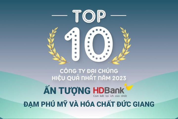 TOP 10 công ty đại chúng hiệu quả nhất năm 2023: Ấn tượng HDBank, Đạm Phú Mỹ và Hóa chất Đức Giang
