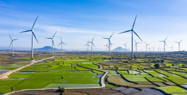 Nhiều dự án chậm tiến độ, cảnh báo dòng vốn FDI sẽ rời khỏi thị trường điện gió Việt Nam?