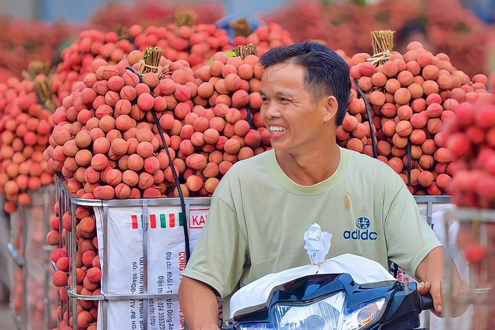 Việt Nam có thêm một doanh nghiệp chiếu xạ trái cây tươi xuất khẩu sang New Zealand