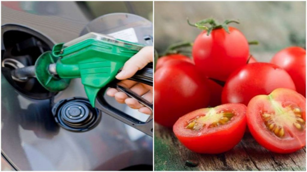 Cà chua đắt hơn xăng - chuyện lạm phát kỳ lạ ở Ấn Độ