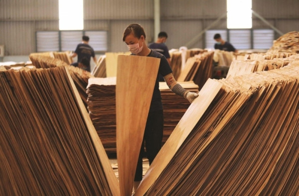 37 doanh nghiệp gỗ dán cứng Việt Nam sẽ phải đóng mức thuế đến 200% khi xuất sang Mỹ