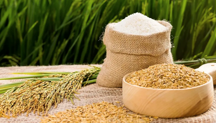 Bắt sóng giá gạo, một cổ phiếu ngành lương thực vừa có 5 phiên trần liên tiếp