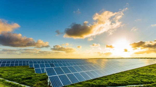Bộ Công Thương yêu cầu EVN giải quyết 14 dự án điện mặt trời hơn 1.400 tỷ đồng bị áp sai giá