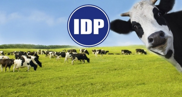 610 tỷ đồng vốn ngoại sắp đổ vào Sữa Quốc tế (IDP) trong 1 tháng tới