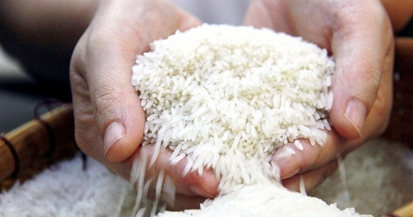 Ấn Độ cho phép xuất khẩu gạo bị kẹt lại tại các cảng