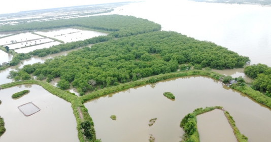 Thái Bình hứa đưa khu bảo tồn thiên nhiên Tiền Hải 12.500ha về đúng tên gọi