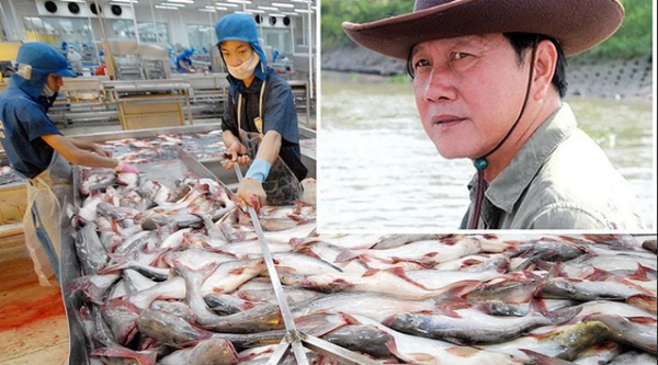 “Vua cá tra” Dương Ngọc Minh sa cơ, tài sản lần lượt về tay những người giàu nhất Việt Nam