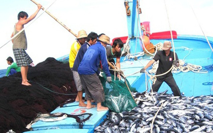 Thủ tướng chỉ đạo tập trung thực hiện các giải pháp cấp bách chống khai thác hải sản bất hợp pháp