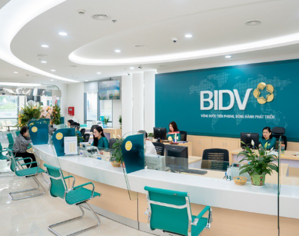 Đại gia Nam Định vừa bị BIDV siết nợ hơn 750 tỷ đồng