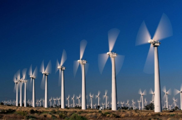 Liên tục vi phạm tại dự án điện gió, một doanh nghiệp năng lượng tại Kon Tum "gõ đầu"