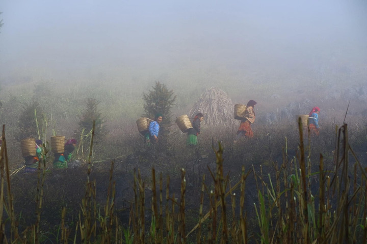 Miền Bắc Việt Nam có "làng địa ngục" ở độ cao 2.000m: Mờ ảo trong mây, không điện, không nước, sóng điện thoại
