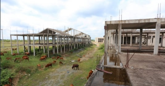 Loạt biệt thự, nhà liền kề hơn 4.200 tỷ thành nơi chăn thả bò ở Quảng Nam