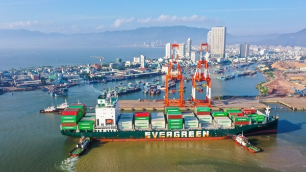 Cảng Quy Nhơn (QNP) chi 195 tỷ đồng nâng cấp cảng trước thềm 'cập bến' sàn HoSE
