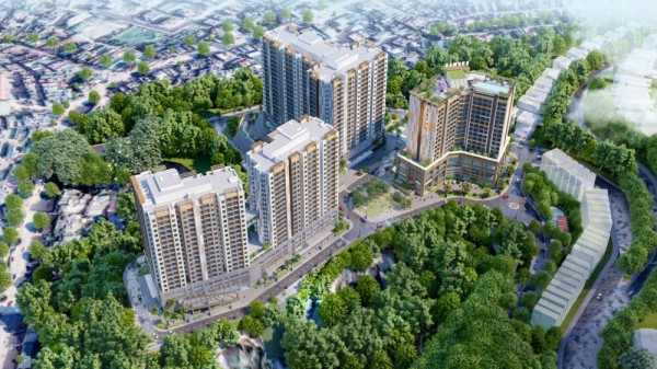 Phú Tài (PTB) bắt tay An Phát Land làm dự án khu nhà ở hơn 860 tỷ đồng tại Bình Định
