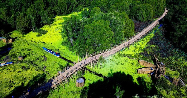 Tỉnh nào có cây cầu tre xuyên rừng dài nhất Việt Nam?