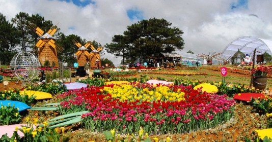 'Thành phố Festival hoa' duy nhất của Việt Nam đón nhận danh hiệu quốc tế mới