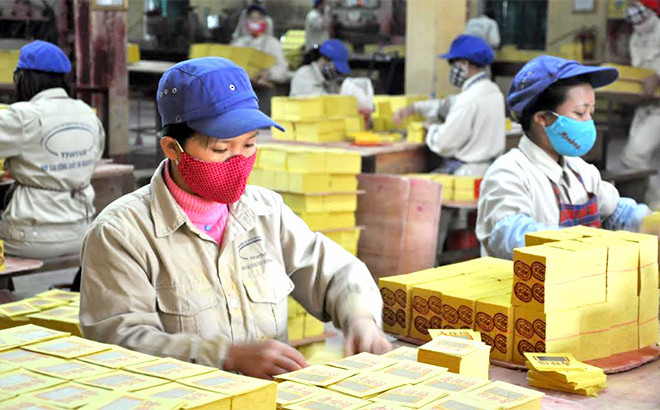 Loạt doanh nghiệp 'bé hạt tiêu', trả cổ tức ‘khủng’ hơn cả tỷ phú Việt