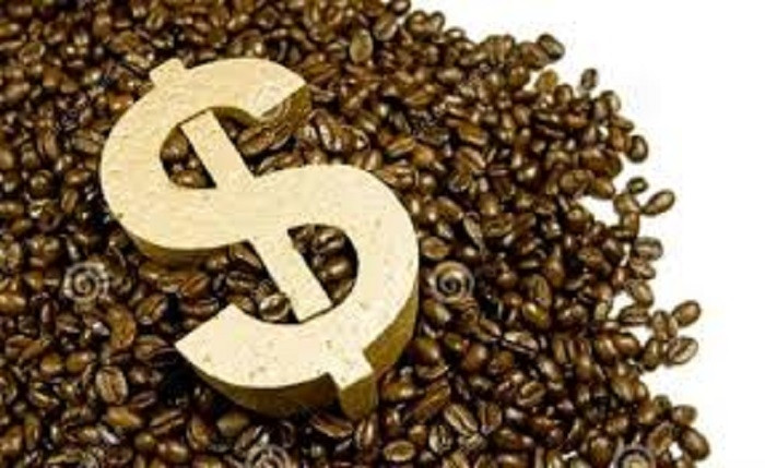 Giá cà phê phá mọi kỷ lục, nông dân 'nếm vị ngọt', doanh nghiệp xuất khẩu thấy 'đắng', hiệp hội cà phê nói gì?