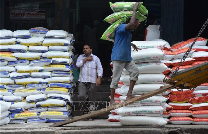 Giá gạo Ấn Độ tăng cao do tác động thuế