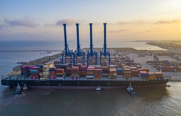 Một doanh nghiệp cảng biển Hải Phòng báo lãi quý I/2024 tăng gần gấp đôi