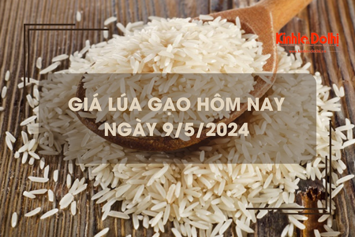 Giá lúa gạo hôm nay 9/5/2024: giá lúa tăng, giá gạo giảm