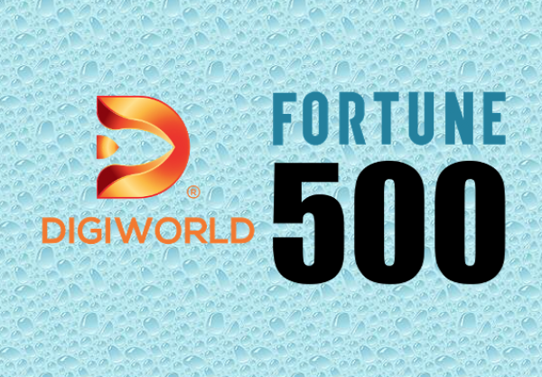 Fortune SEA 500: Cột mốc đặc biệt trên hành trình trở thành doanh nghiệp tỷ USD của Digiworld