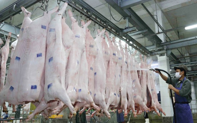 Chất lượng an toàn thực phẩm: Cảnh báo từ các cơ sở giết mổ động vật