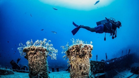 Bảo tàng ẩn mình dưới đáy đại dương đưa du khách lặn sâu xuống nước ngắm 117 bức tượng khổng lồ