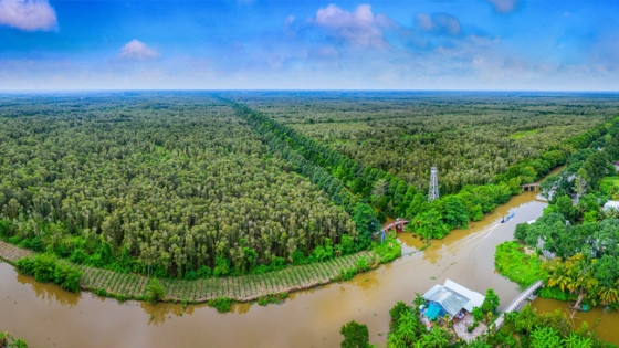 'Lột xác' từ 'vùng đất chết', khu bảo tồn đa dạng sinh học độc đáo là 'lá phổi xanh' của vùng đồng bằng lớn nhất Việt Nam
