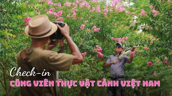 Không chỉ là nơi check-in hoa tường vi hot nhất Thủ đô, Công viên thực vật cảnh Việt Nam còn mang một 'sứ mệnh' thầm lặng ít người biết