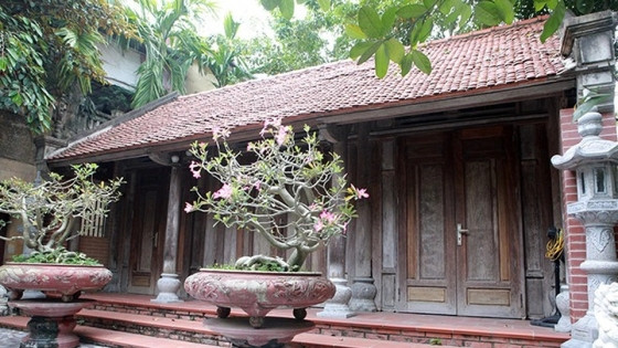Ngôi nhà cổ được làm bằng loại gỗ quý hiếm như 'khối vàng lộ thiên' giá lên đến trăm tỷ đồng ở Việt Nam